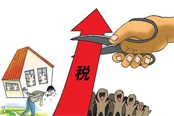 宠物高氧舱:为爱宠打造专业级呼吸守护空间_设备_功能_浓度