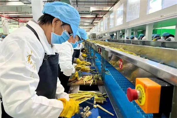 日拟在格陵兰岛建科考船基地