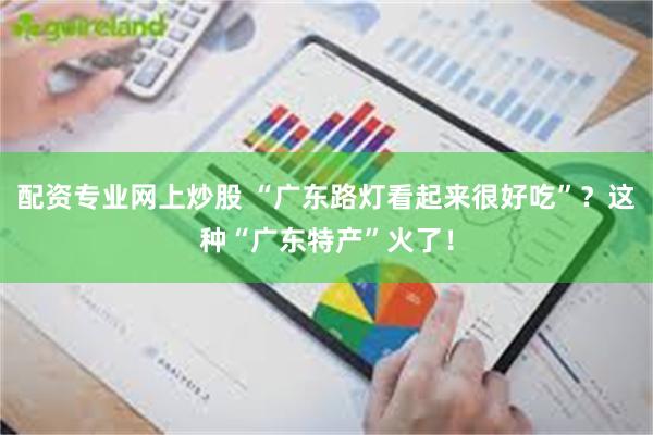 配资专业网上炒股 “广东路灯看起来很好吃”？这种“广东特产”火了！