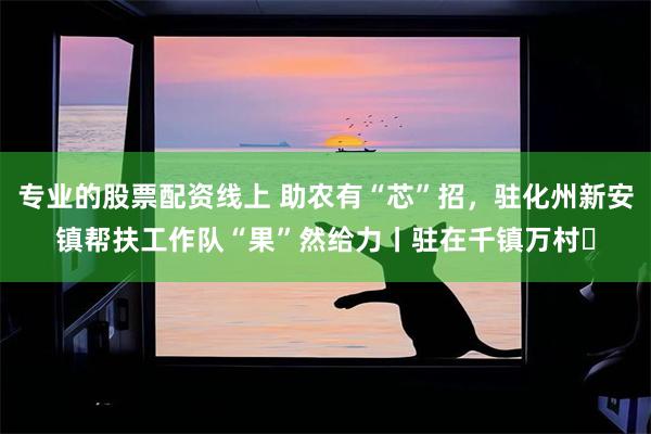 专业的股票配资线上 助农有“芯”招，驻化州新安镇帮扶工作队“果”然给力丨驻在千镇万村⑭