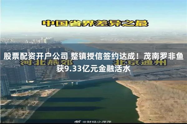股票配资开户公司 整镇授信签约达成！茂南罗非鱼获9.33亿元金融活水