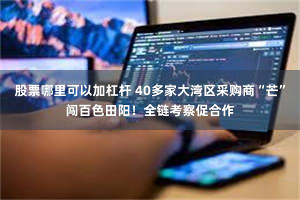 股票哪里可以加杠杆 40多家大湾区采购商“芒”闯百色田阳！全链考察促合作