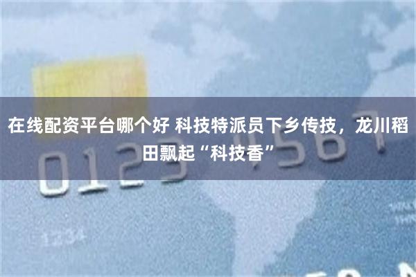在线配资平台哪个好 科技特派员下乡传技，龙川稻田飘起“科技香”