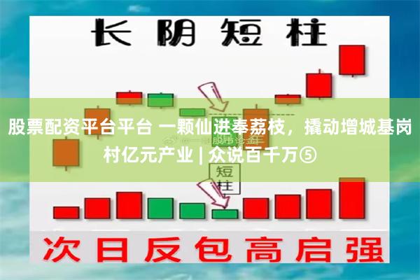 股票配资平台平台 一颗仙进奉荔枝，撬动增城基岗村亿元产业 | 众说百千万⑤
