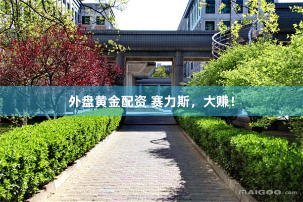 外盘黄金配资 赛力斯，大赚！