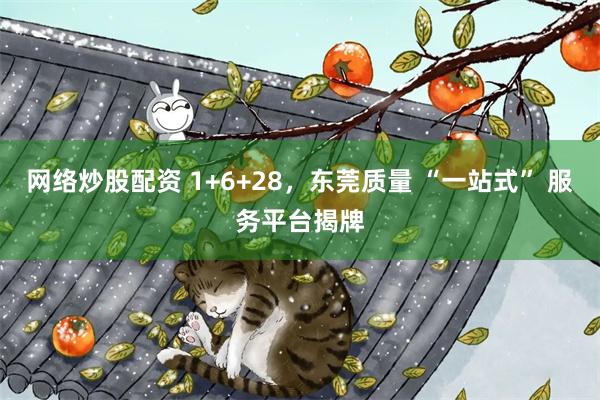 网络炒股配资 1+6+28，东莞质量 “一站式” 服务平台揭牌