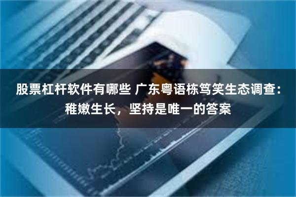 股票杠杆软件有哪些 广东粤语栋笃笑生态调查：稚嫩生长，坚持是唯一的答案