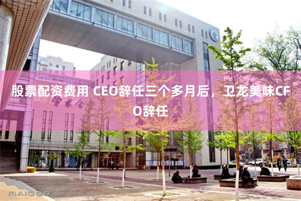 股票配资费用 CEO辞任三个多月后，卫龙美味CFO辞任