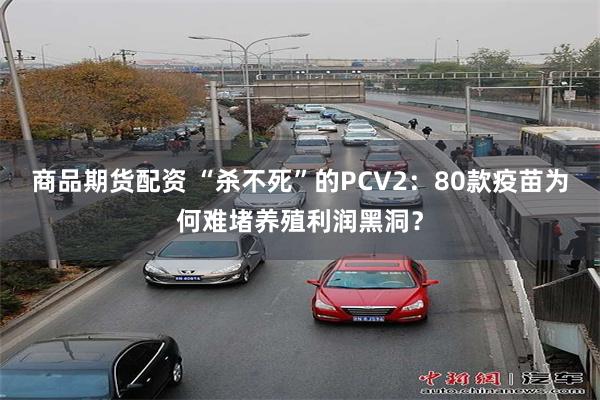 商品期货配资 “杀不死”的PCV2:80款疫苗为何难堵养殖利润黑洞?