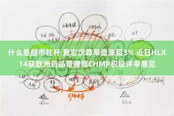 什么是股市杠杆 复宏汉霖早盘涨超3% 近日HLX14获欧洲药品管理局CHMP积极评审意见