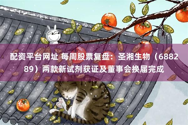 配资平台网址 每周股票复盘：圣湘生物（688289）两款新试剂获证及董事会换届完成