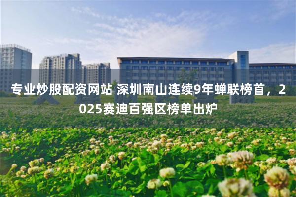 专业炒股配资网站 深圳南山连续9年蝉联榜首，2025赛迪百强区榜单出炉