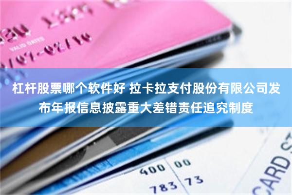 杠杆股票哪个软件好 拉卡拉支付股份有限公司发布年报信息披露重大差错责任追究制度