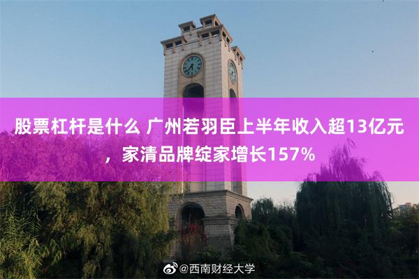 股票杠杆是什么 广州若羽臣上半年收入超13亿元，家清品牌绽家增长157%