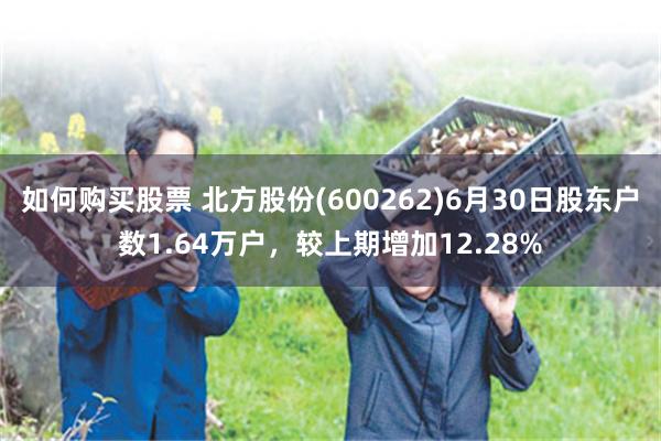 如何购买股票 北方股份(600262)6月30日股东户数1.64万户，较上期增加12.28%