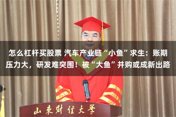 怎么杠杆买股票 汽车产业链“小鱼”求生：账期压力大，研发难突围！被“大鱼”并购或成新出路