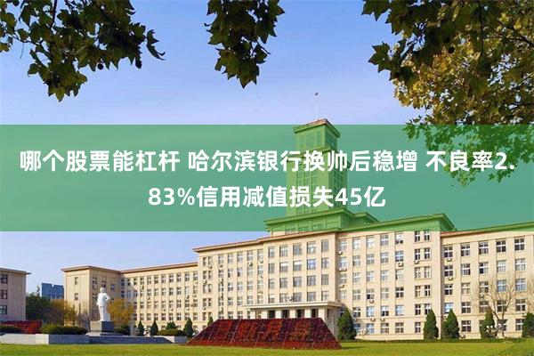 哪个股票能杠杆 哈尔滨银行换帅后稳增 不良率2.83%信用减值损失45亿