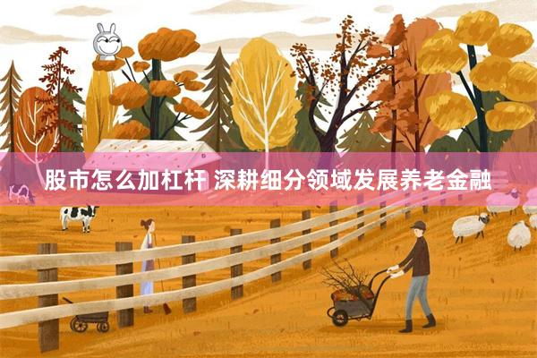股市怎么加杠杆 深耕细分领域发展养老金融