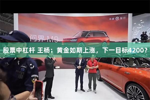 股票中杠杆 王杨：黄金如期上涨，下一目标4200？