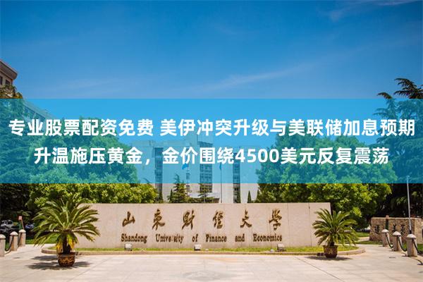 专业股票配资免费 美伊冲突升级与美联储加息预期升温施压黄金，金价围绕4500美元反复震荡