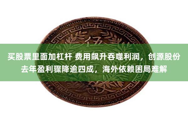 买股票里面加杠杆 费用飙升吞噬利润，创源股份去年盈利骤降逾四成，海外依赖困局难解