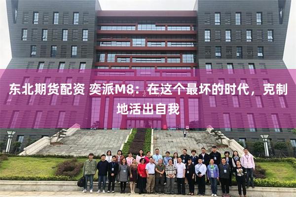 东北期货配资 奕派M8：在这个最坏的时代，克制地活出自我