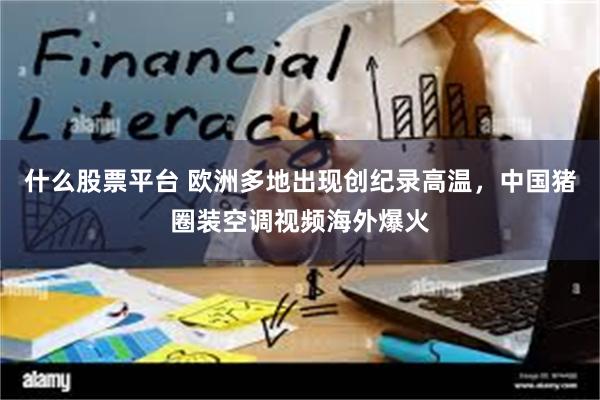 什么股票平台 欧洲多地出现创纪录高温,中国猪圈装空调视频海外爆火