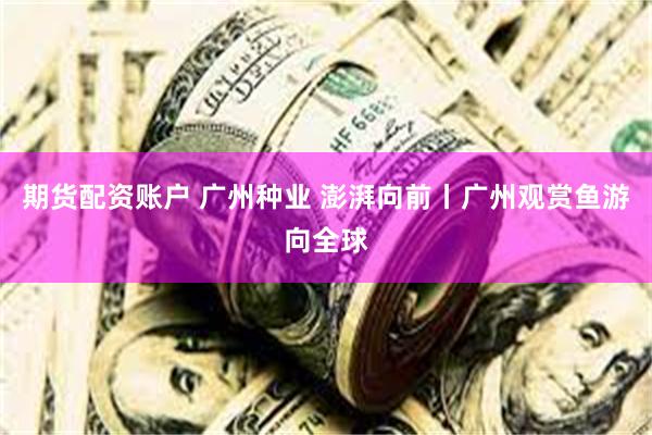 期货配资账户 广州种业 澎湃向前丨广州观赏鱼游向全球