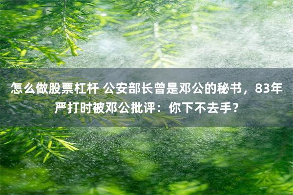怎么做股票杠杆 公安部长曾是邓公的秘书,83年严打时被邓公批评:你下不去手?
