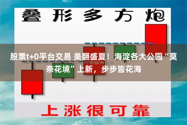股票t+0平台交易 美翻盛夏！海淀各大公园“莫奈花境”上新，步步皆花海