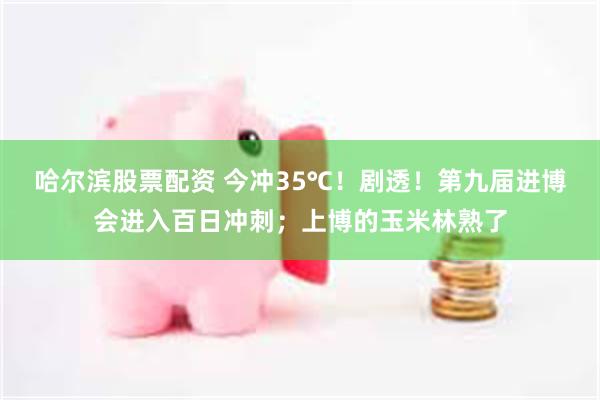 哈尔滨股票配资 今冲35℃!剧透!第九届进博会进入百日冲刺;上博的玉米林熟了