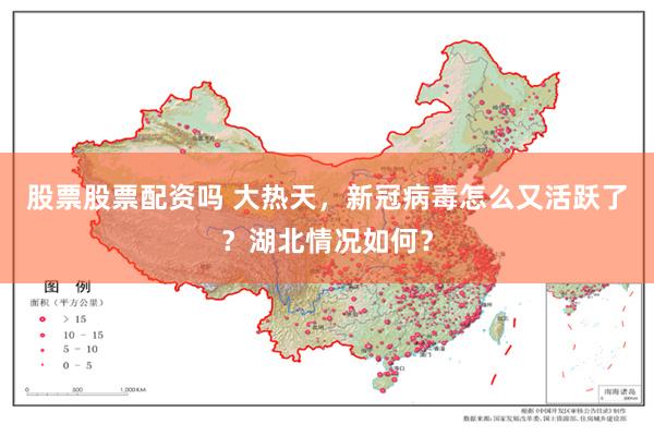 股票股票配资吗 大热天，新冠病毒怎么又活跃了？湖北情况如何？
