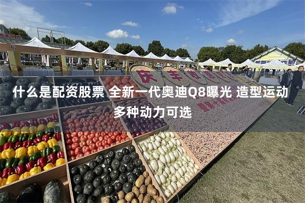 什么是配资股票 全新一代奥迪Q8曝光 造型运动 多种动力可选