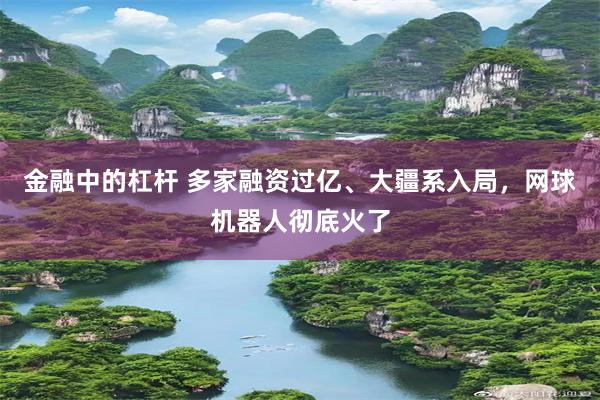 金融中的杠杆 多家融资过亿、大疆系入局，网球机器人彻底火了