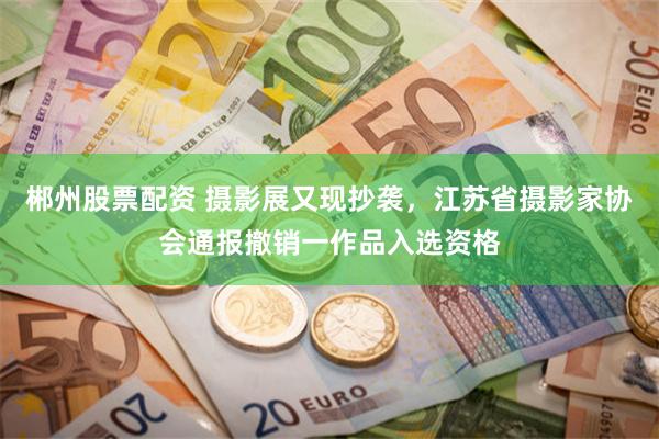 郴州股票配资 摄影展又现抄袭,江苏省摄影家协会通报撤销一作品入选资格