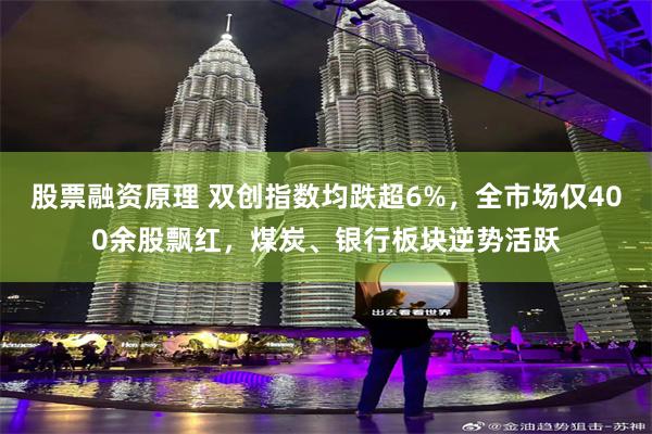 股票融资原理 双创指数均跌超6%，全市场仅400余股飘红，煤炭、银行板块逆势活跃