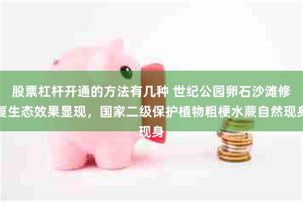 股票杠杆开通的方法有几种 世纪公园卵石沙滩修复生态效果显现，国家二级保护植物粗梗水蕨自然现身