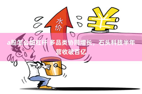 a股怎么加杠杆 多品类协同增长，石头科技半年营收破百亿