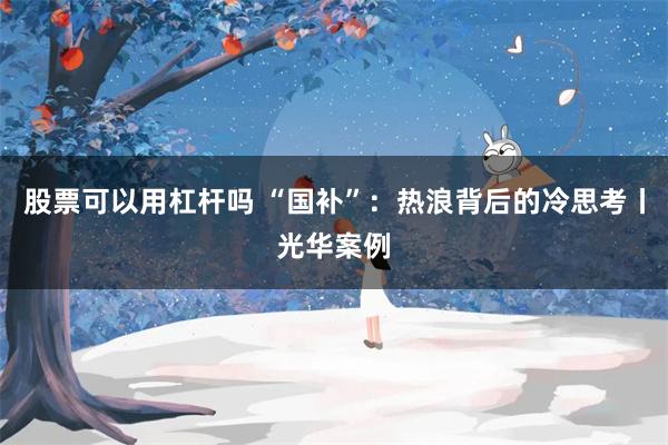 股票可以用杠杆吗 “国补”:热浪背后的冷思考丨光华案例