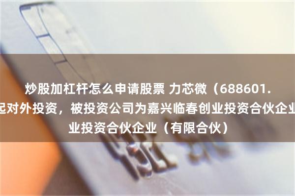 炒股加杠杆怎么申请股票 力芯微（688601.SH）新增一起对外投资，被投资公司为嘉兴临春创业投资合伙企业（有限合伙）