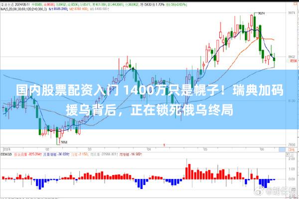国内股票配资入门 1400万只是幌子！瑞典加码援乌背后，正在锁死俄乌终局