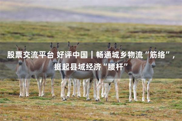 股票交流平台 好评中国｜畅通城乡物流“筋络”，挺起县域经济“腰杆”