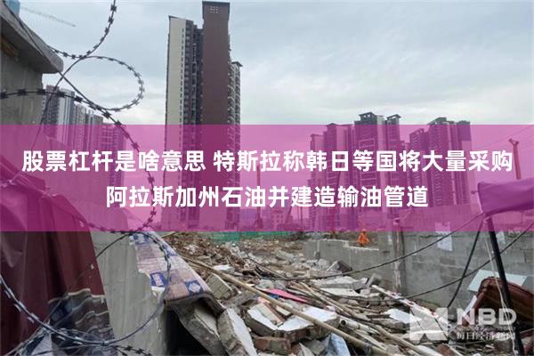 股票杠杆是啥意思 特斯拉称韩日等国将大量采购阿拉斯加州石油并建造输油管道