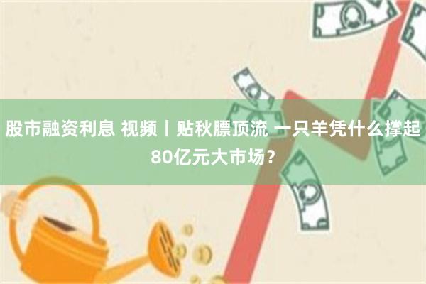 股市融资利息 视频丨贴秋膘顶流 一只羊凭什么撑起80亿元大市场？