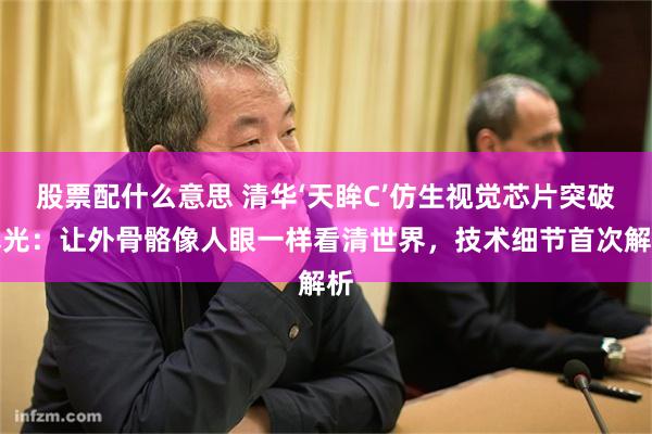股票配什么意思 清华‘天眸C’仿生视觉芯片突破曝光：让外骨骼像人眼一样看清世界，技术细节首次解析