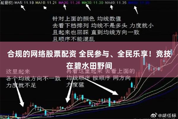 合规的网络股票配资 全民参与、全民乐享！竞技在碧水田野间