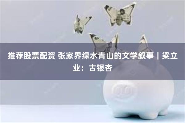 推荐股票配资 张家界绿水青山的文学叙事｜梁立业：古银杏