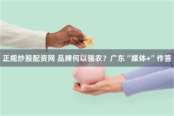 正规炒股配资网 品牌何以强农？广东“媒体+”作答