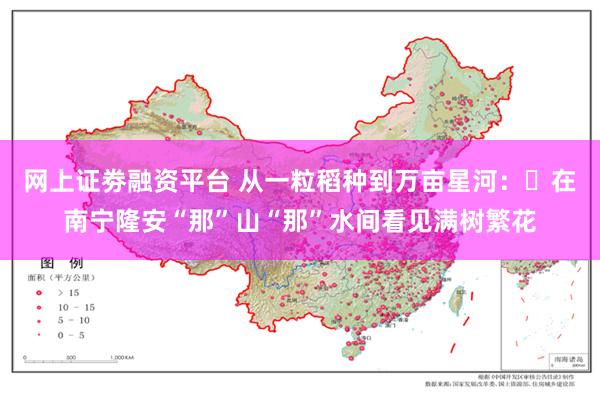 网上证劵融资平台 从一粒稻种到万亩星河：​在南宁隆安“那”山“那”水间看见满树繁花
