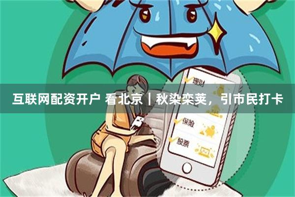 互联网配资开户 看北京｜秋染栾荚，引市民打卡